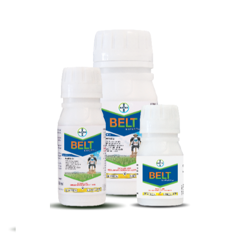 Belt insecticide 2025